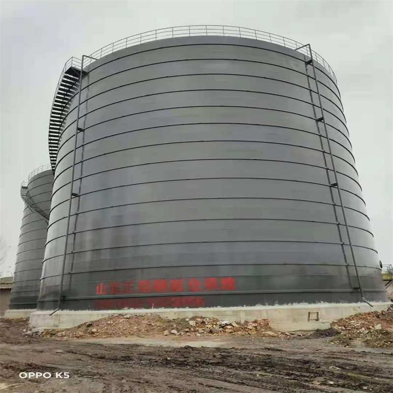 新蔡3万吨大型钢板库