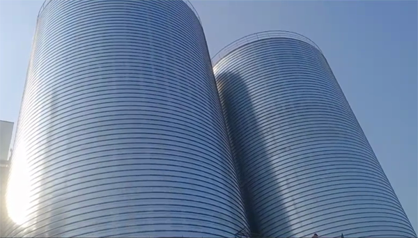 新蔡2座混凝土高架卷板仓